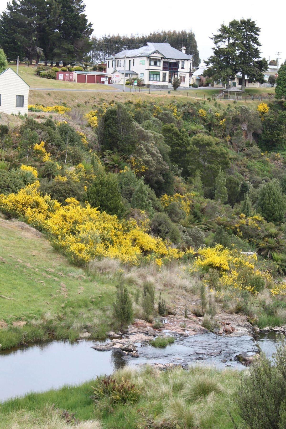 Bischoff Hotel Waratah Buitenkant foto